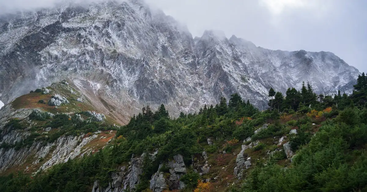 Doudoune Sans Manche The North Face : Guide et Achat